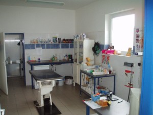 Obrázok