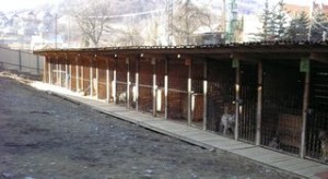 Obrázok
